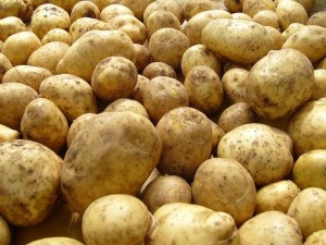 Картошка на продажу
