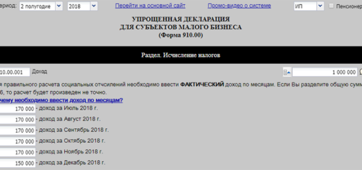 Пример заполнения 910 формы ИП за 2 полугодие 2018