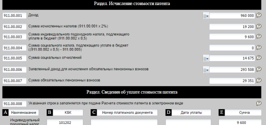 Пример заполнения 911 формы для патента